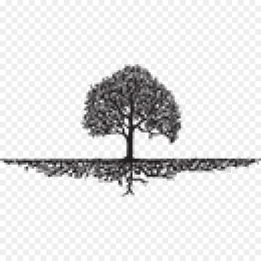 Radici: La Saga di una Famiglia Americana Albero di Organizzazione Paesaggistica - albero