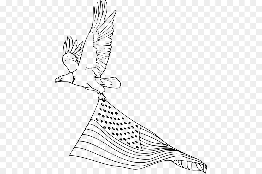 L'Aquila calva Uccello libro da Colorare Disegno - uccello