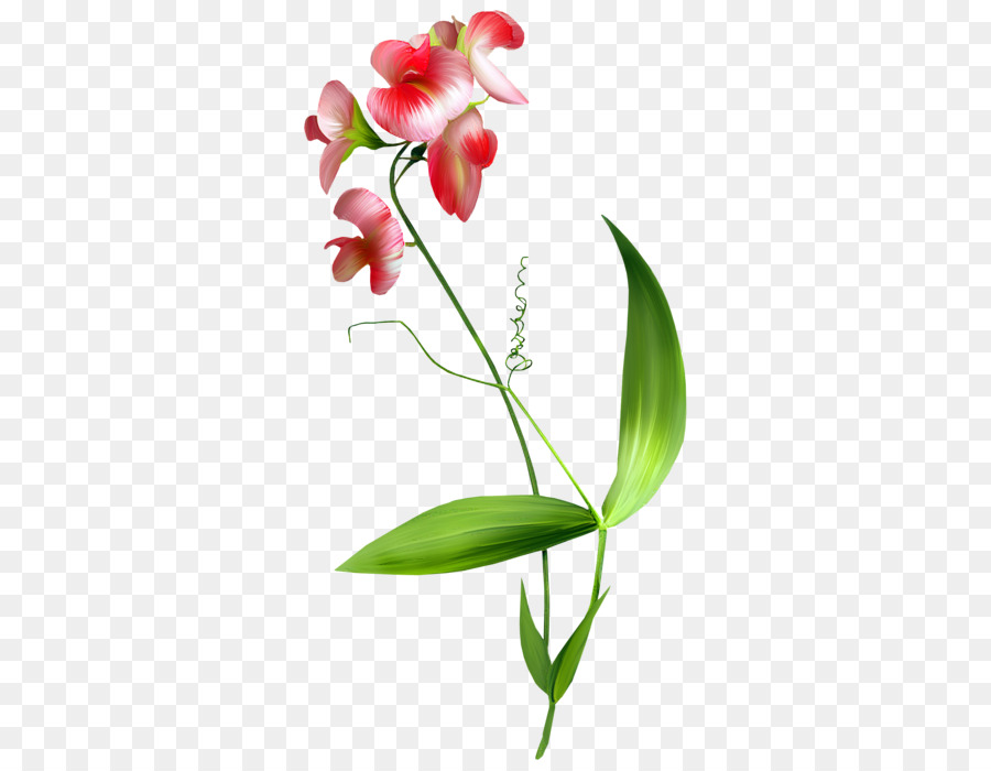 Fiore Blume Clip art - fiore