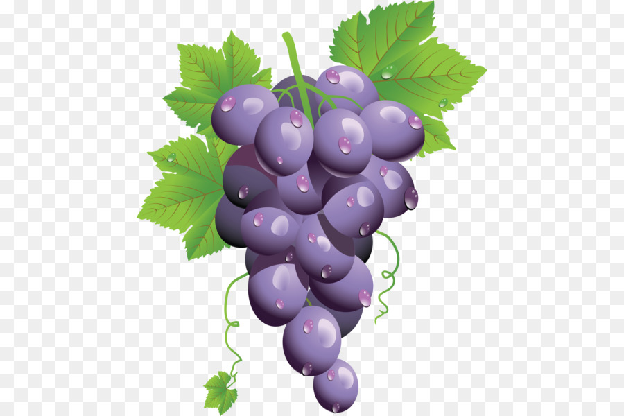 Comune di Uva, Vite da Vino Clip art - uva