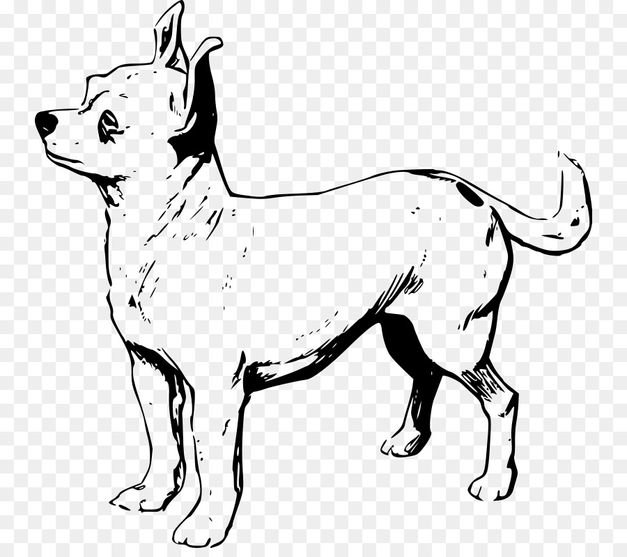 Chihuahua Welpen English Toy Terrier-Mops-clipart - Welpen