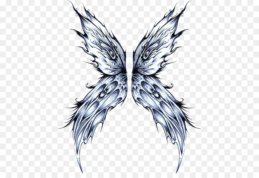 Farfalla Disegno Papillon cane Fata - farfalla