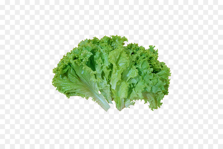 Caesar-Salat mit Blatt-Gemüse-Salat - pflanzliche