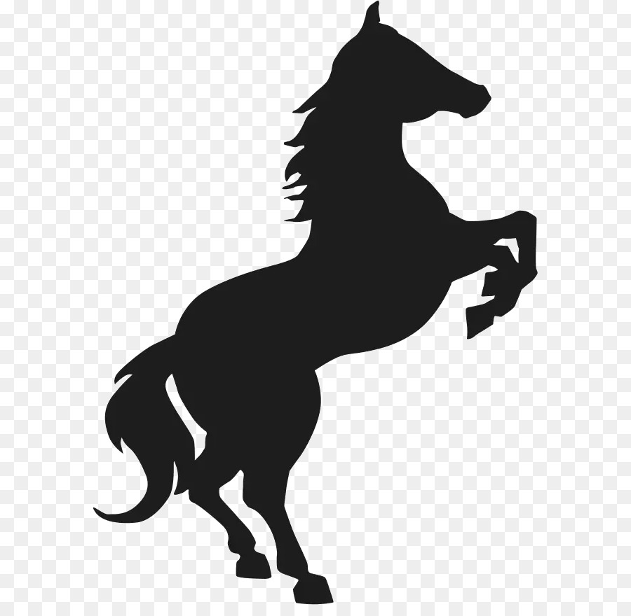 Horse Cartoon png download - 634*864 - Free Transparent Mustang png  Download. - CleanPNG / KissPNG