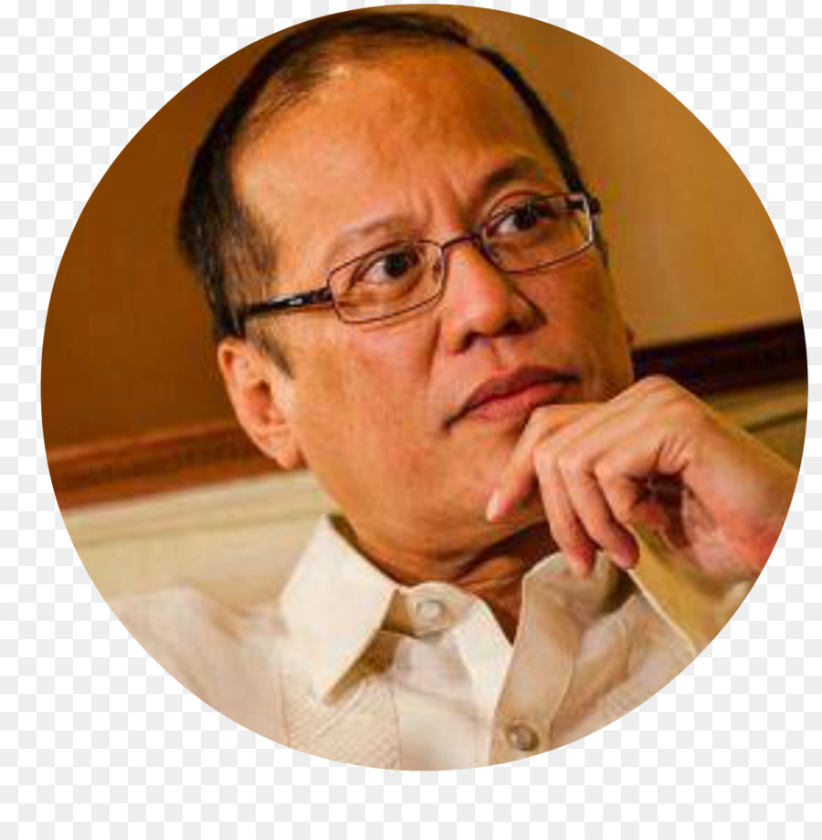 Hãy nhìn Aquino III Tổng thống của các Phi bầu cử tổng thống Philippines, 2010 - những người khác