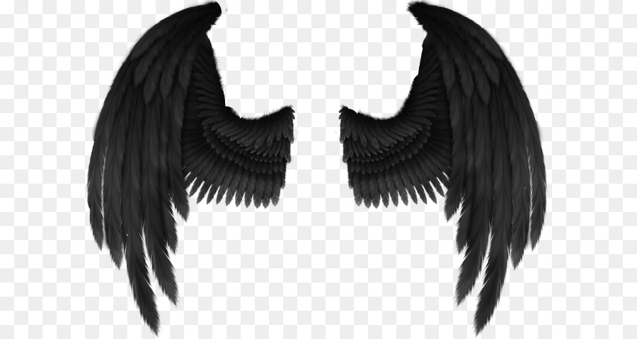 Cherub Angel Wing Fantasy - Engel