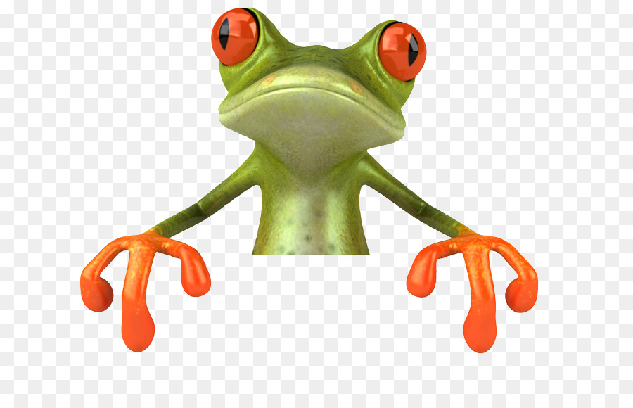 Teichfrosch Red-eyed tree frog - Frosch