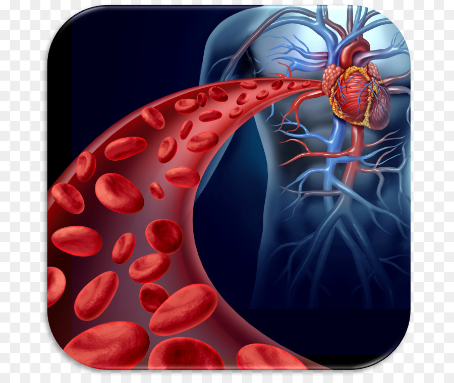 Rote Blutkörperchen Thrombus-Kreislauf-system Herz-Stammzellen - Herz