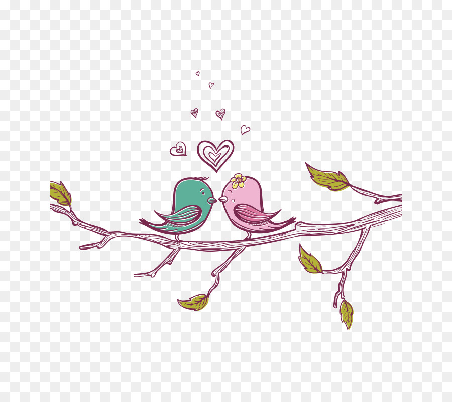 Uccelli Amore Clip art - uccello
