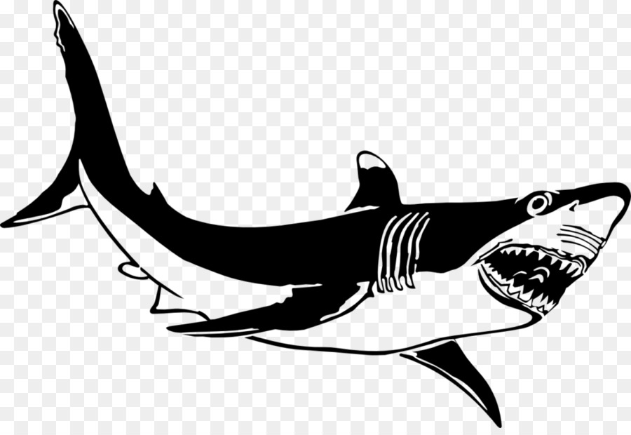 Cá mập trắng Clip nghệ thuật - những người khác