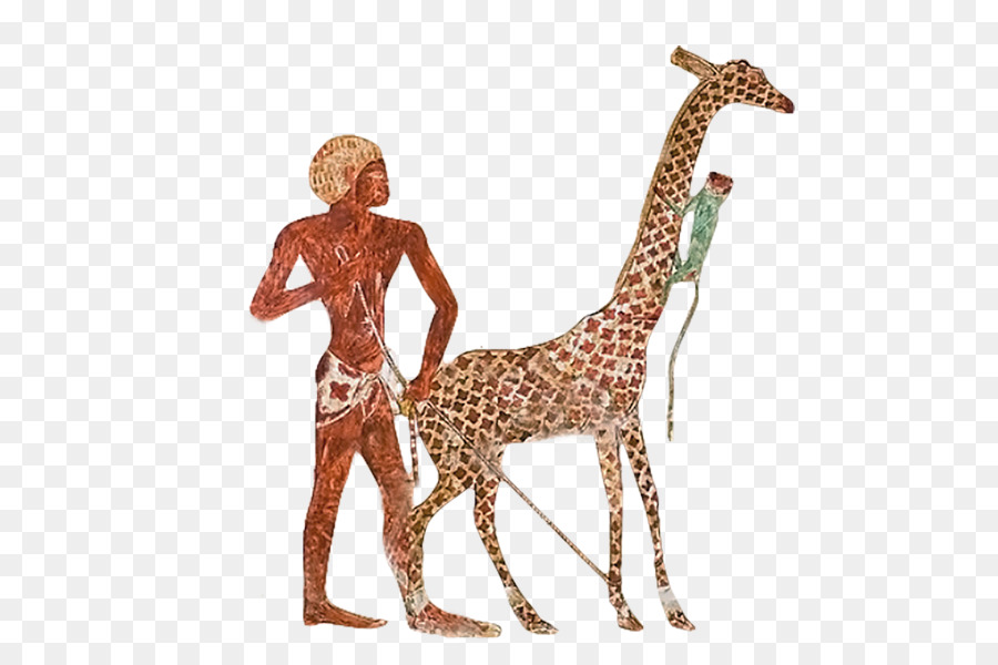 Giraffa Antico Egitto Nekhen Zoo Egiziano - giraffa