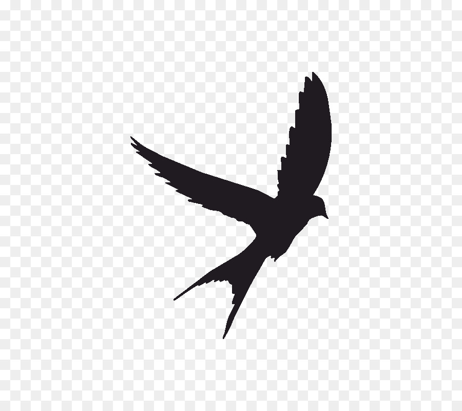 Tree swallow Bird, Swallow tattoo, fictional Character, silhouette, desktop  Wallpaper png | PNGWing