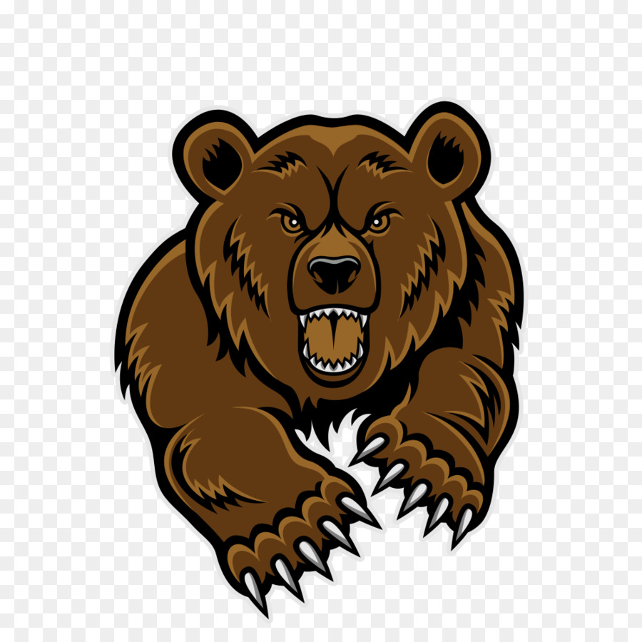 Bear Cartoon png download - 1000*1000 - Free Transparent Baby Grizzly png  Download. - CleanPNG / KissPNG