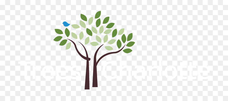 Baumpflanzung Organisation Baldachin Non-profit-organisation - Baum