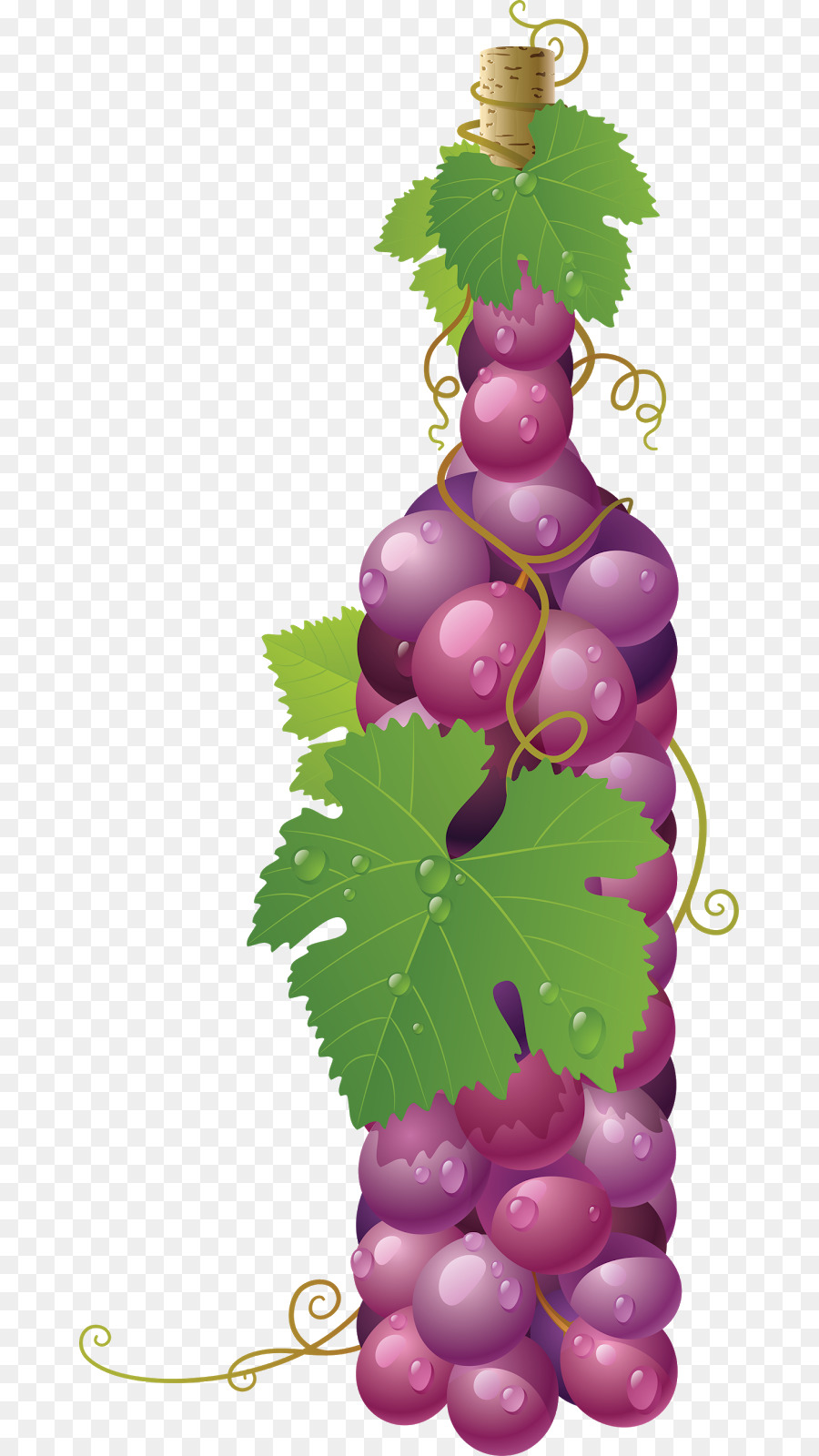 Comune di Uva, Vite da Vino Uva foglie - vino