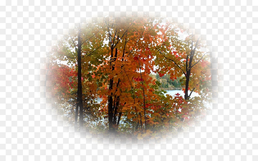 Herbst Landschaft Desktop Wallpaper-Clip art - Herbst