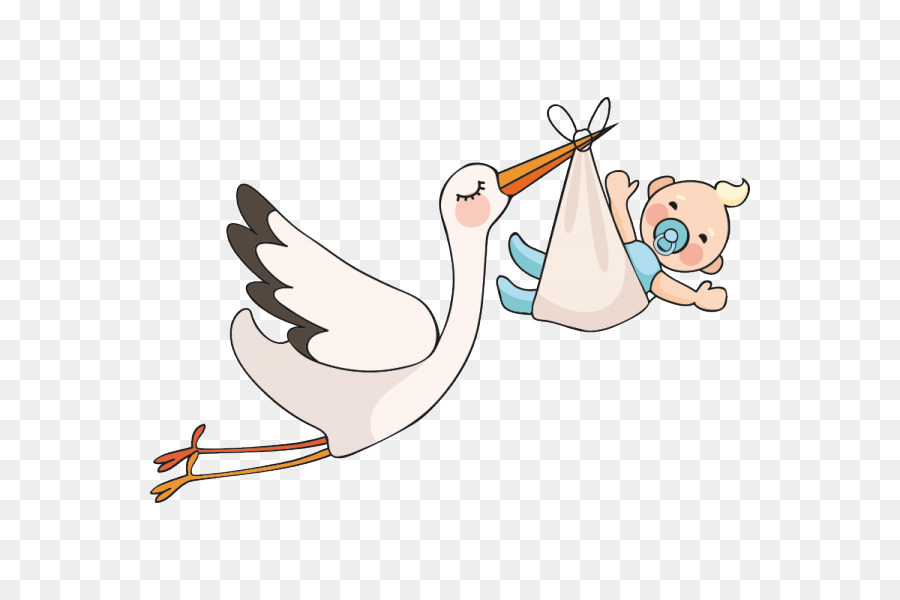 Cartoon Baby Bird png download - 600*600 - Free Transparent Baby Shower png  Download. - CleanPNG / KissPNG