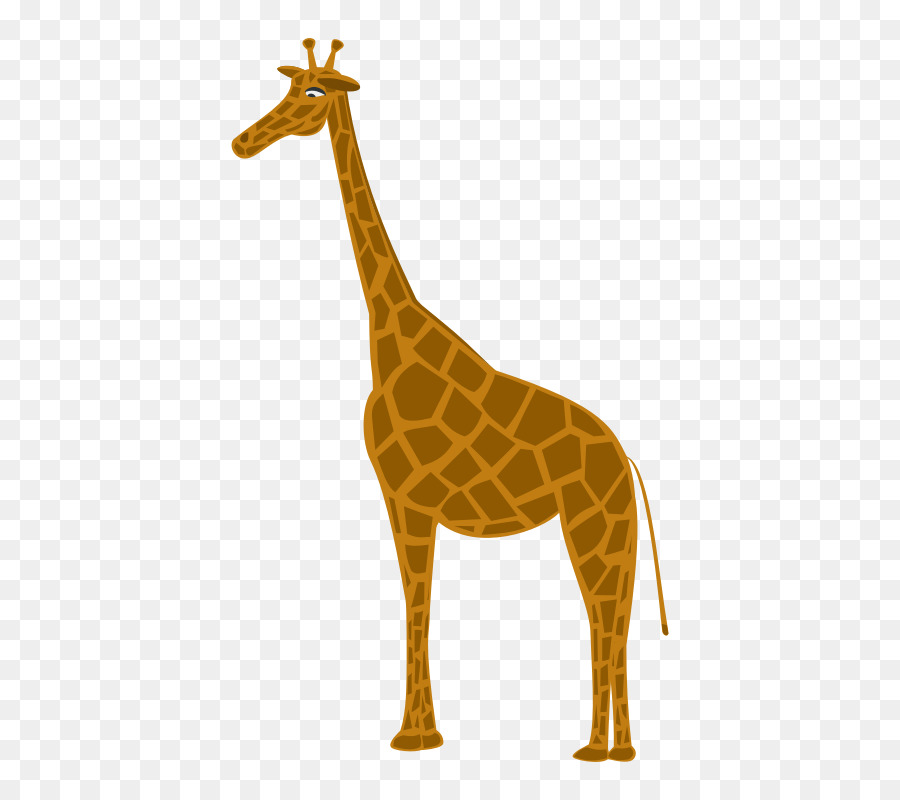 Icone del Computer Settentrionale giraffa Clip art - giraffa