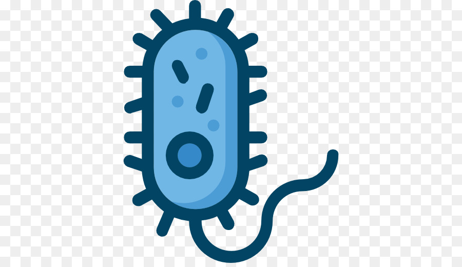 Bacteria Cartoon png download - 512*512 - Free Transparent Bacteria png