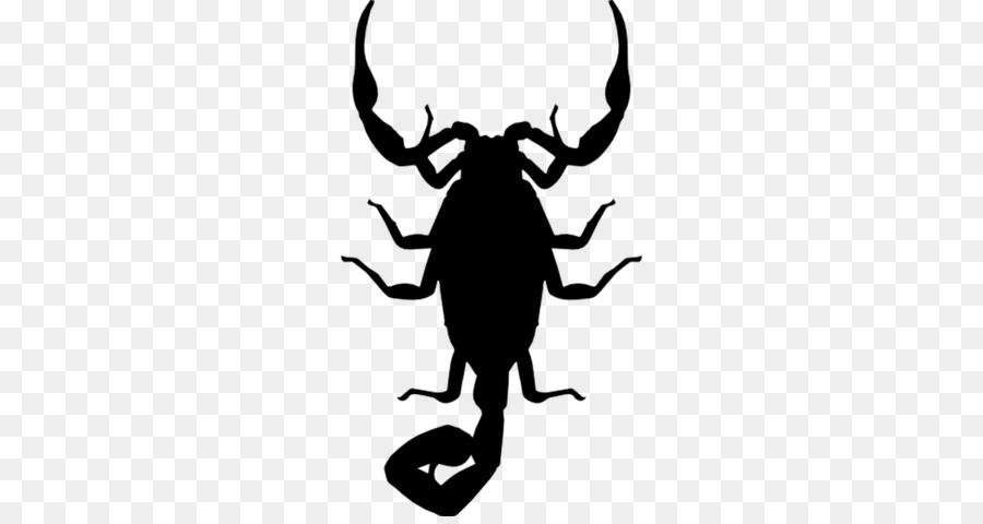 Scorpione Insetto Forma Della Silhouette - scorpione