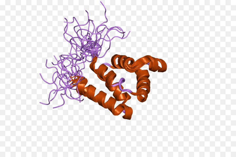 Interner link MNDA Gen Protein - andere