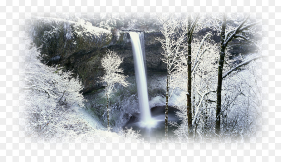 Sfondo del Desktop 1080p Foresta di Inverno 720p - foresta