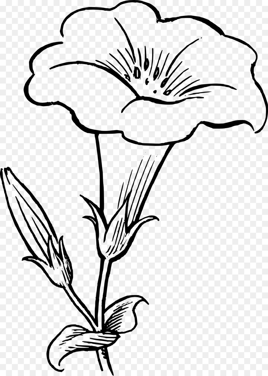 Blume, Zeichnung, Schwarz und weiß clipart - Blume