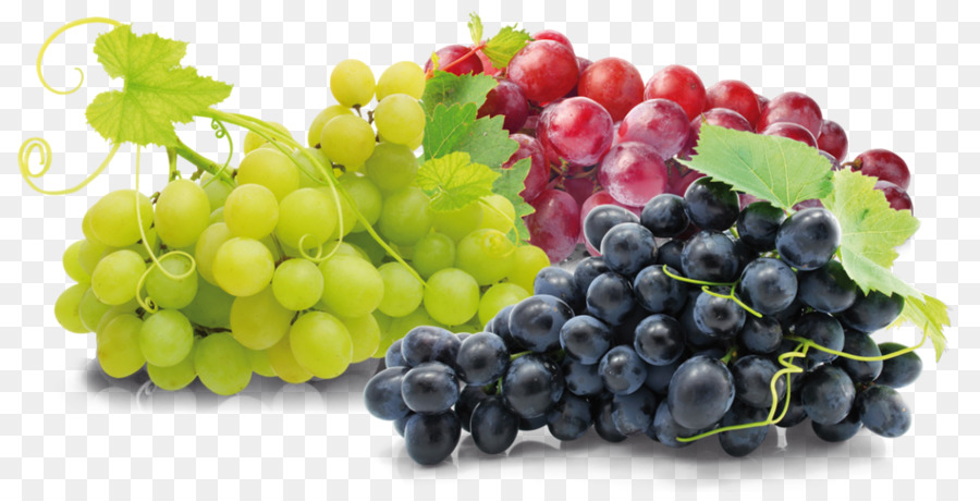 Nutrienti fibre Alimentari integratore Alimentare di Uva - uva