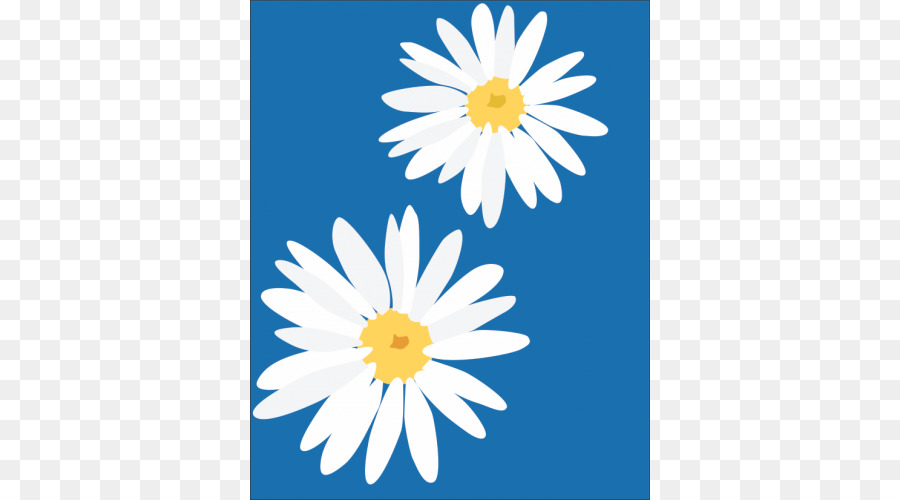 Gemeinsame daisy Blumen Clip art - Blume