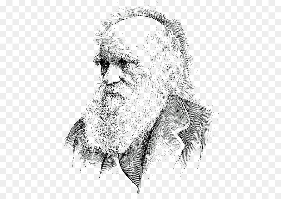 Was Darwin Got Wrong Charles Darwin: Victorian Mythmaker Evolution Darwinismus Biologie - Wissenschaftler