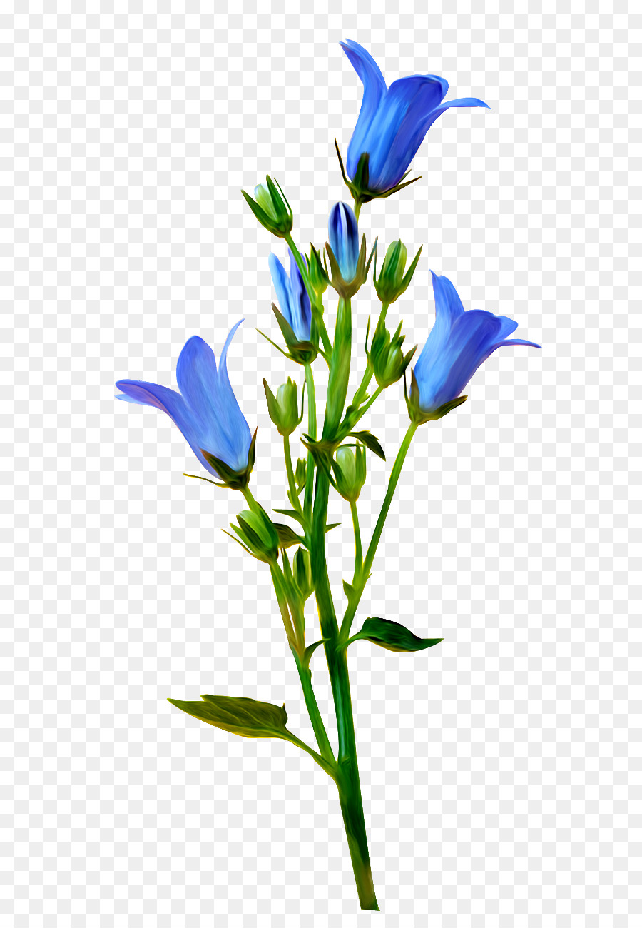 Blume Yandex Search, Blossom, Blau, Clip-art - Blume