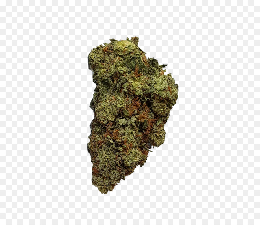 Kush Cannabis Blue Dream Haze Leafly - canapa