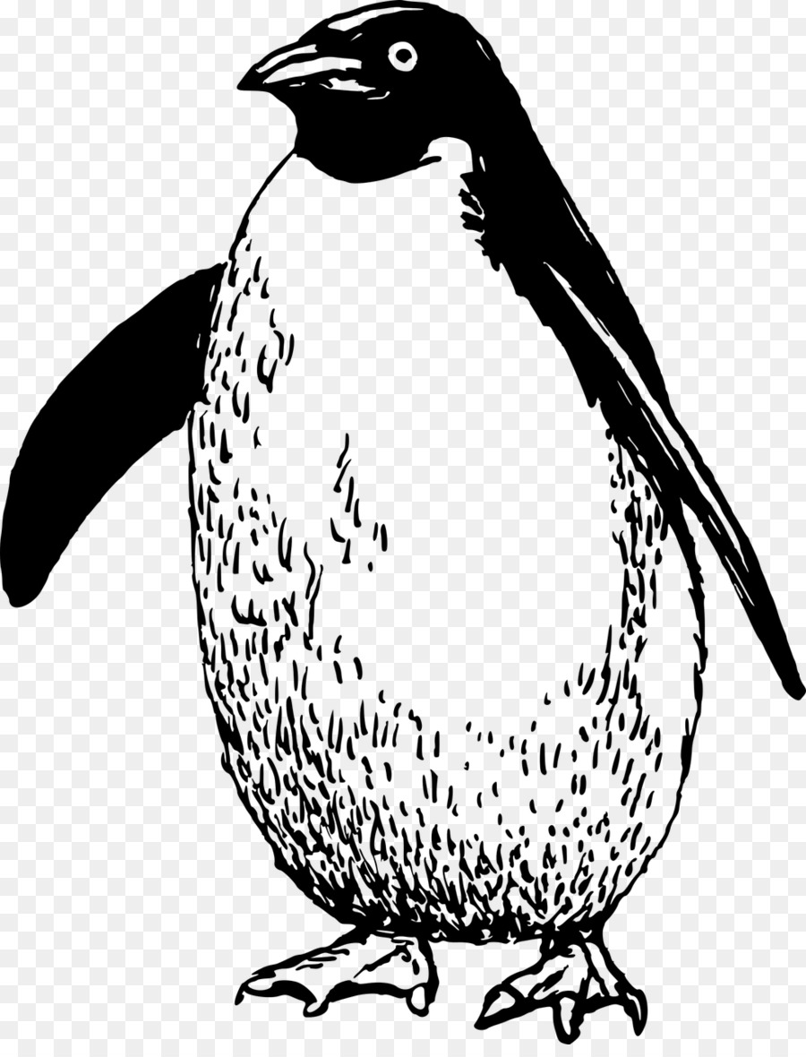 Pinguin Flugunfähige Vogel der Antarktis Clip-art - Pinguin