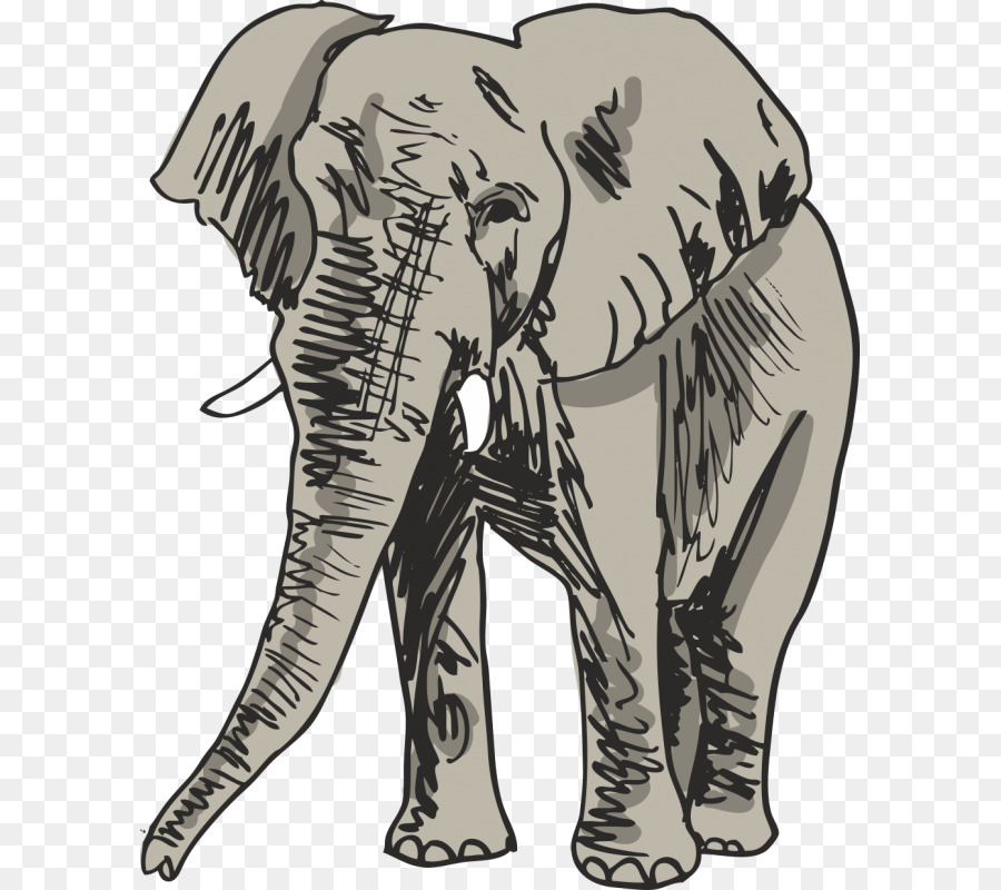 Zeichnung Elefant Royalty-free - Elefant