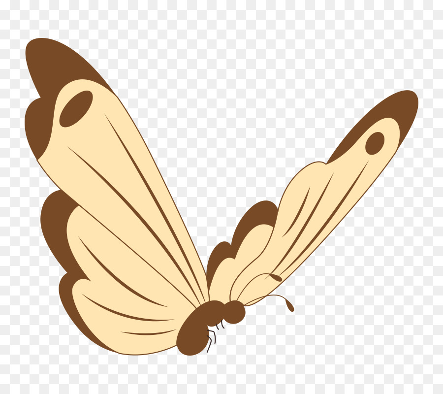 Ngoại Bướm Moth Clip nghệ thuật - bướm