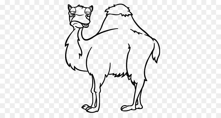 Dromedario cammello Battriano Disegno da Colorare Baffi - pittura