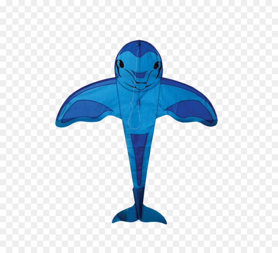 Kite Dolphin Cetacea Schweinswal Segeln - Delphin