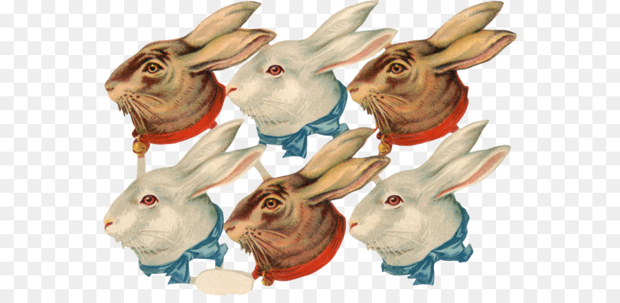 Heimische Kaninchen Hase Vintage-Kleidung Clip art - andere