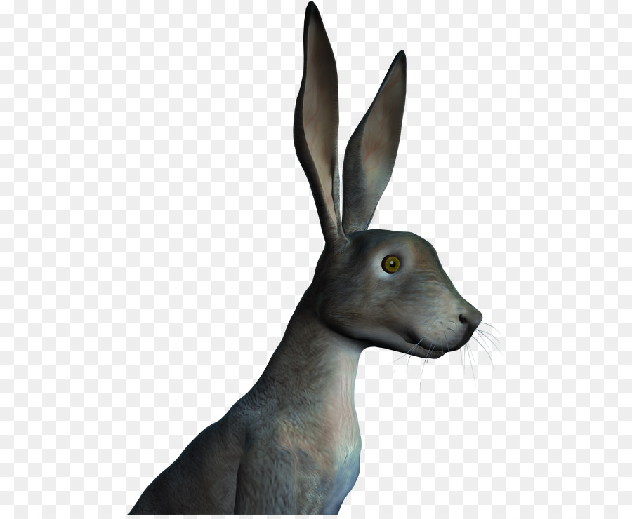 Hare Mõm Động Vật Hoang Dã, - những người khác