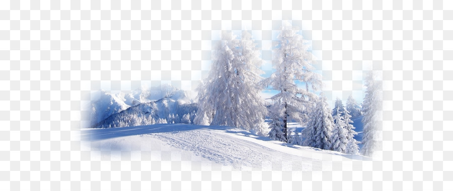 Desktop Wallpaper Winter Natur Schnee Landschaft - Winter