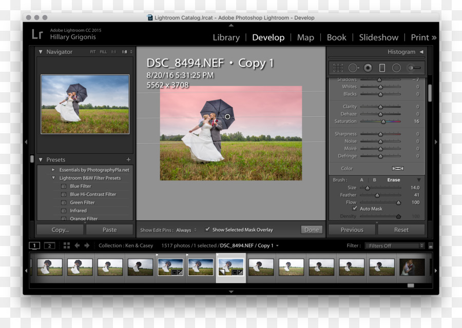 Adobe Lightroom Computer-Software Abgestufter neutral-Dichte-filter, Fotografische filter - andere