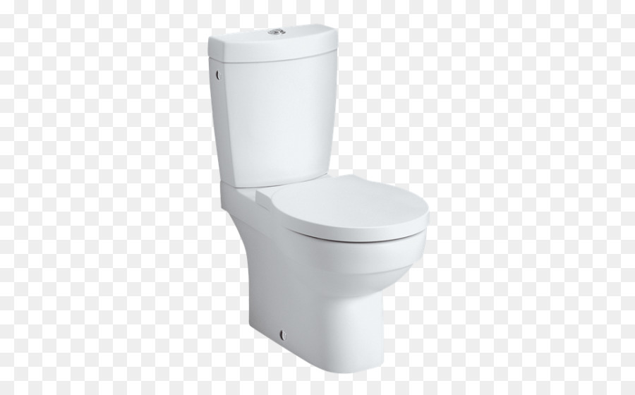 Flush WC Roca-WC und Bidet-Sitze-Bad - WC