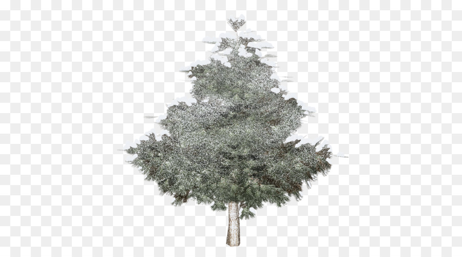 Fichte Weihnachtsbaum Tanne clipart - Baum
