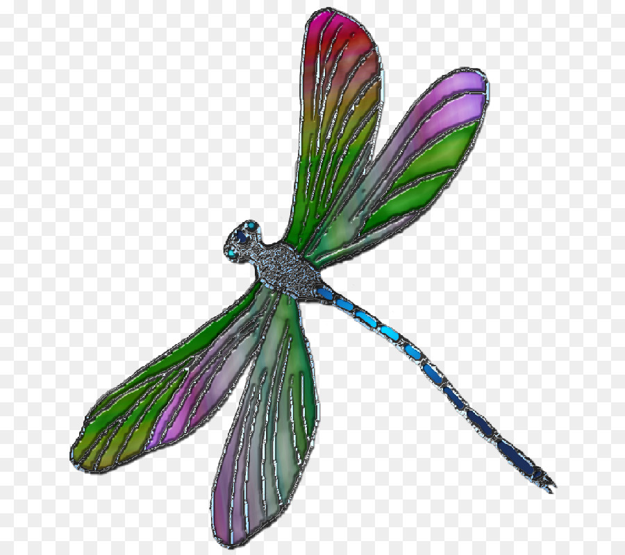 Butterfly Cartoon png download - 720*800 - Free Transparent Dragonfly png  Download. - CleanPNG / KissPNG
