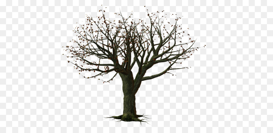 Baum Snag Clip art - Baum