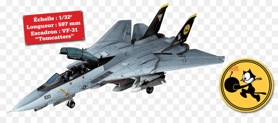 Grumman F-14 Tomcat, Apache Tomcat, Modelli In Scala Hypertext Transfer Protocol - altri