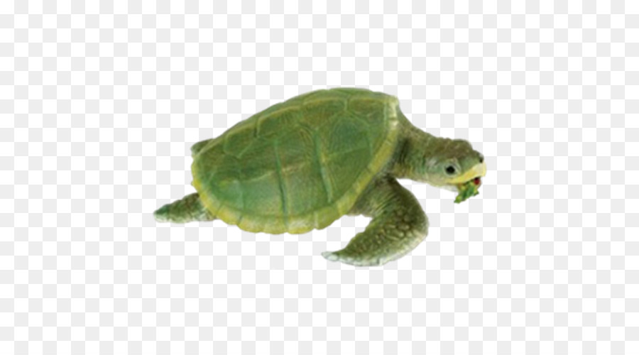 Safari Ltd. Kemp ' s ridley sea turtle Reptil - Schildkröte