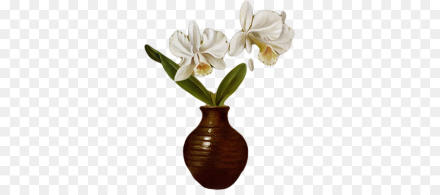 Delicati fiori recisi Falena orchidee Gallia - altri