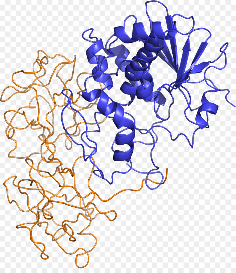 Ricinus Shiga-toxin Ribosome-inactivating protein - andere