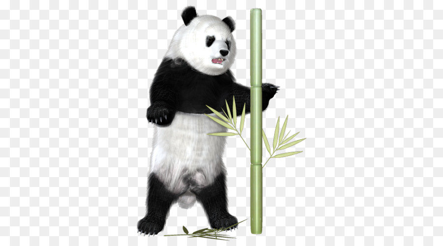 Panda gigante Panda e bambù Animale - altri